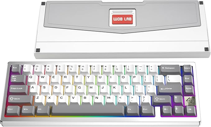 KEEBMONKEY WOBKEY Zen 65 65% Quick Release Wireless Mechanical Keyboard with RGB, CNC Aluminum Case, Hot-Swappable, VIA Support, BT/2.4G/USB-C Gaming Keyboard for Mac/Windows (Lite Silver)