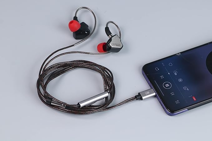Linsoul 7Hz Salnotes Zero HiFi 10mm Dynamic Driver in-Ear Earphone IEM with Metal Composite Diaphragm Stainless Steel Faceplate Detachable 2Pin OFC Cable (Black, with Mic, Type C)