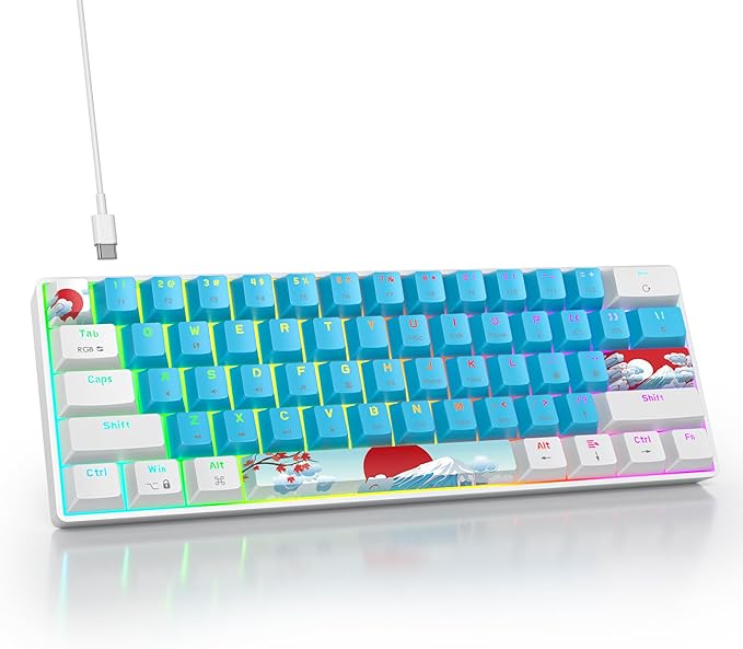 60 Percent Gaming Keyboard Portable 61 Keys Mechanical Keyboard Compact Wired Keyboard RGB Backlit for PC Laptop Gamer(61 Blue/Blue Switch)