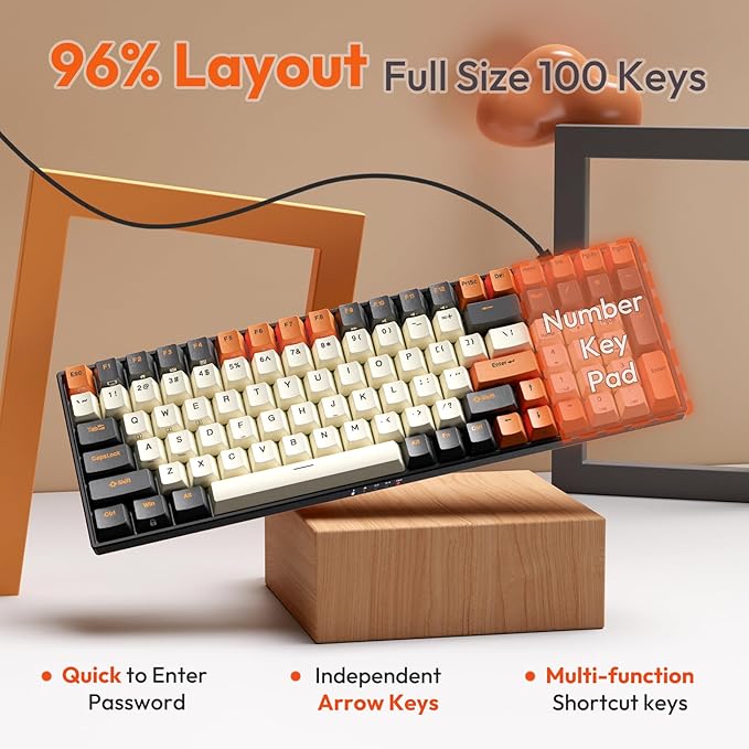 RK ROYAL KLUDGE RK100 Wireless Mechanical Keyboard RGB Backlit Bluetooth5.1/2.4G/Wired 96% Full Size 100-Key Hot Swappable Gaming Keyboard Red Switch Carbon