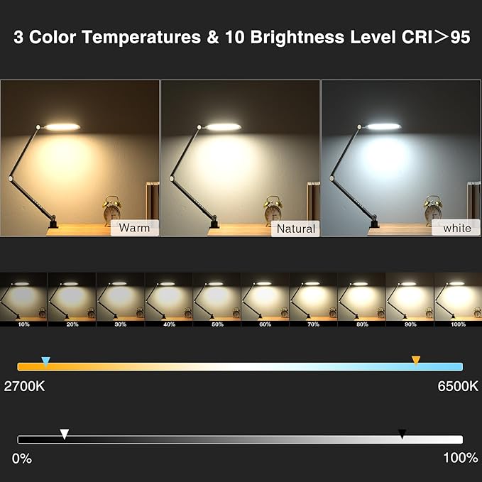 LitONES Video Conference Lighting for Computer, Dimmable Light for Video Recording, Meeting, Laptop & Webcam, 15W Ring Light for Desk with C- Clamp, Swing Arm, Remote, Memory & Timer CRI >95