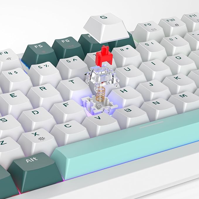 Owpkeenthy 75 Percent Gaming Keyboard Gasket Mounted, 82 Key Wired Mechanical Keyboard Hot Swappable with Knob Linear Red Switch RGB Backlit for PC Laptop (Forest)