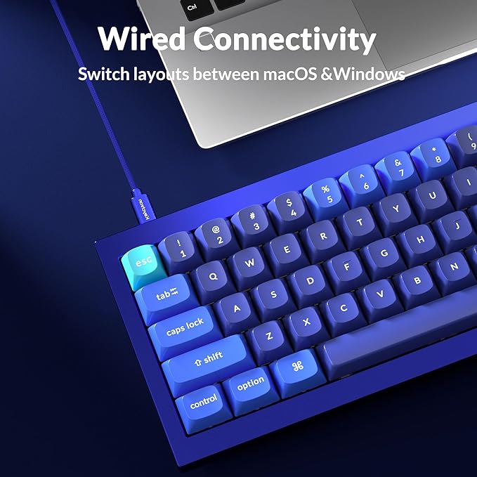 Keychron Q4 Wired Custom Mechanical Keyboard, QMK/VIA Programmable Macro, Full Aluminum, Hot-Swappable Gateron G Pro Brown Switch, 60% Layout Double Gasket Compatible with Mac and Windows - Blue