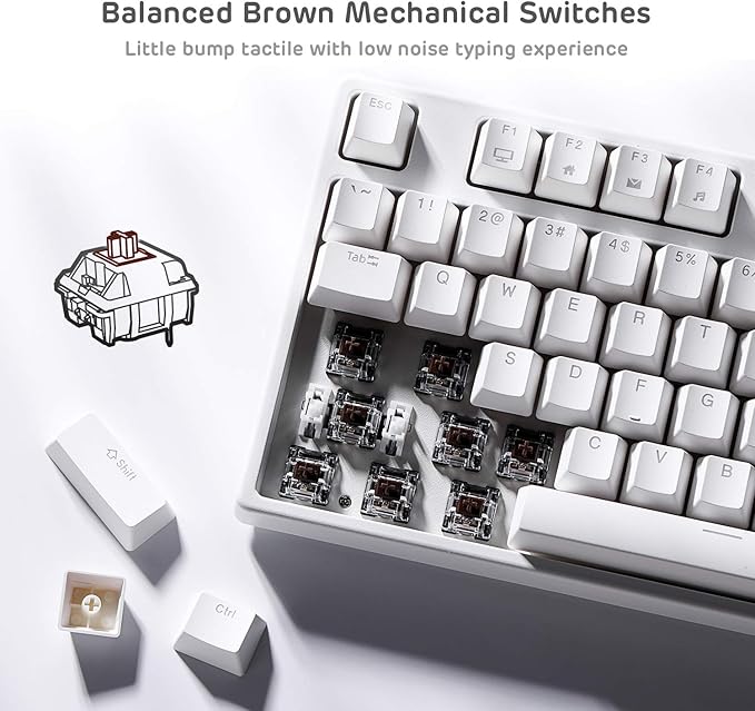 RK ROYAL KLUDGE Sink87G Wired/Wireless TKL Mechanical Gaming Keyboard, No Numbpad Compact 2.4G RGB Wireless Keyboard (White)