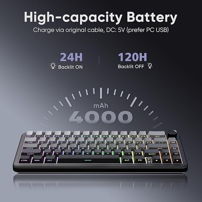 RedThunder K65 Wireless Mechanical Gaming Keyboard, Trip-Modes Connection, Gasket Custom Hot-Swap Keyboard, RGB Backlit, Pre-lubed Linear Switches, Side Engraved PBT Keycaps, Gradient Gray