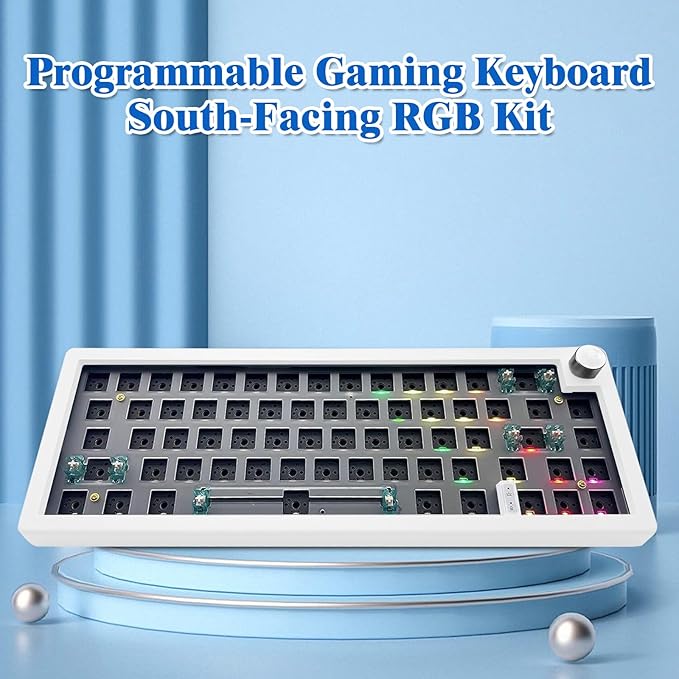 BOYI GMK67 Barebones Keyboard Kit,65% RGB Hot-Swap Gasket Mounted Tri-Mode BT/2.4GHz/USB-C 4000mAh Wireless Custom Programmable Mechanical Gaming Keyboard DIY Kit with Knob(White)