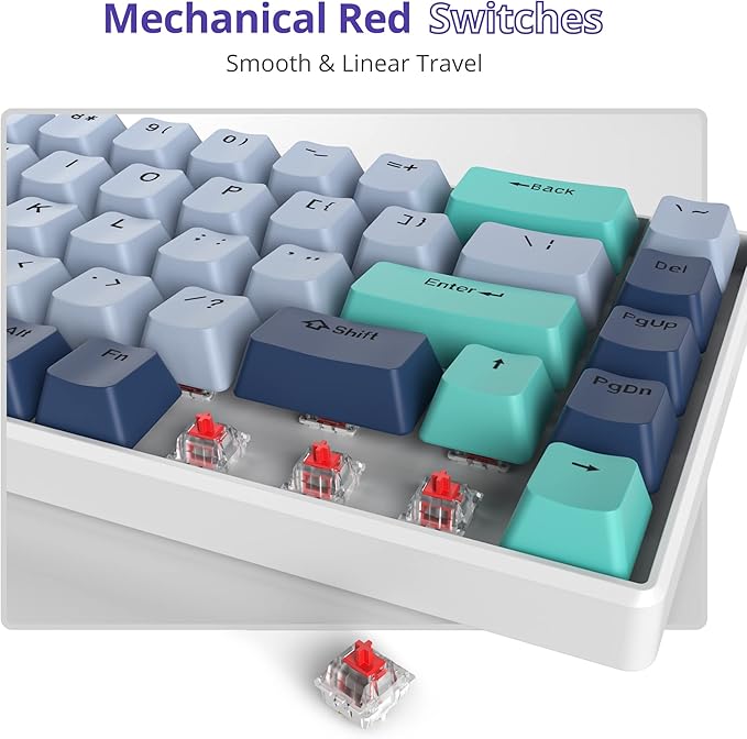 Owpkeenthy 65 Percent Mechanical Gaming Keyboard Hammerhead Shark with Red Switch Ultra Compact RGB Wired 60% Gaming Keyboard N-Key Rollover for PC Gamer Box PS