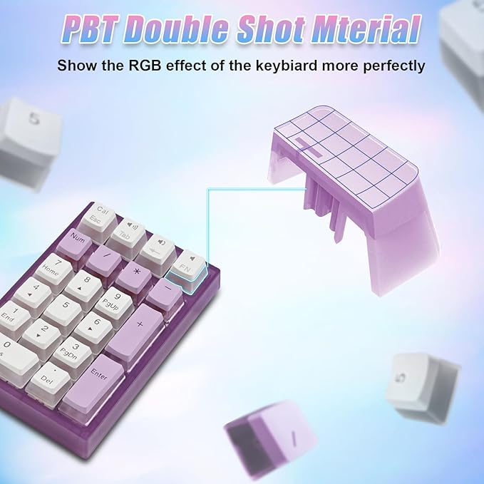 BOYI TD21 HotSwap Mechanical Numeric Keypads,21 Keys Mini Numpad Portable Keypad BT5.0/2.4G/Wired Keyboard RGB Number Pad Wireless Numeric Keypad(Purple Color with OEM Profile Pudding Keycaps)