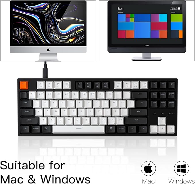 Keychron C1 Wired Mechanical Keyboard TKL, 87-Key RGB Backlit Hot-Swappable Keyboard with Gateron G Pro Brown Switches, Double-Shot ABS Keycaps, USB-C, Mac & Windows Compatible