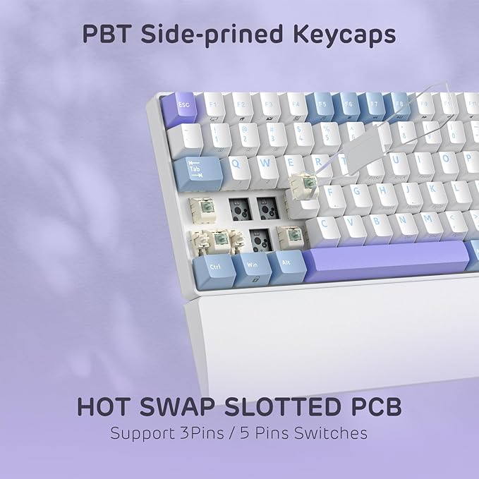 RK ROYAL KLUDGE RK96 RGB Limited Ed, 90% 96 Keys Wireless 3-Mode BT5.0/2.4G/USB-C Hot Swappable Mechanical Keyboard w/Wrist Rest, Volume Control, Software, Massive Battery, RK Pale Green Switch