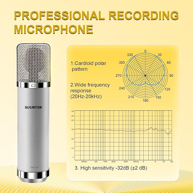 SUUNTOK FET Condenser Microphone Professional XLR Studio Microphone with 34mm Large Diaphragm, Cardioid Recording Mic Computer Gaming PC TM251S Mic Kit for Singing, Podcasting, YouTube (Gray)