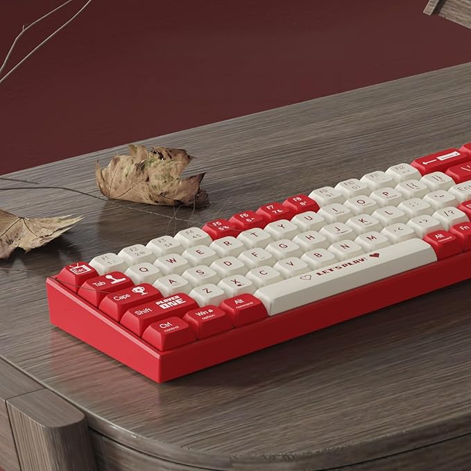 AK680 Wired Compact Mechanical Keyboard, 68 Keys Red-White Layout, Hot-Swappable Tactile Brown Switch Gaming Keyboard with Multicolor Backlight, Eva Foam Dampening, for Gaming & Typing