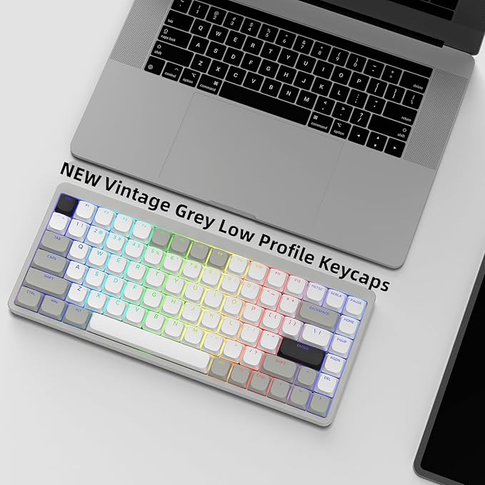 Womier Low Profile Keycaps - Shine Through Keycaps 60 65 75 100 Percent, Keyboard Key caps PBT Full Size for Cherry Gateron MX Switches Mechanical Keyboard, Grey/White