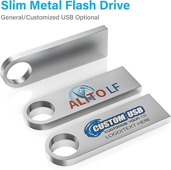 ABLAZE 1GB Flash Drive 20 Pack, Metal USB 2.0 Thumb Drives with Keychains USB Sticks Pendrives (Sliver)