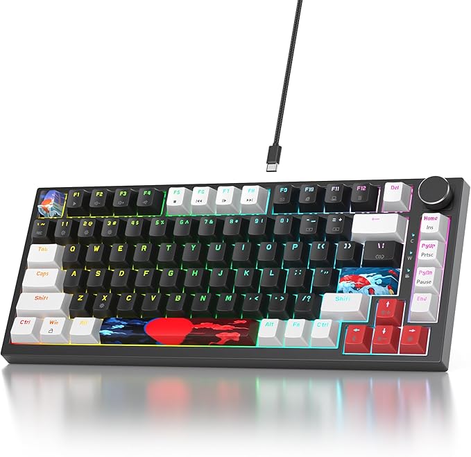 75% Mechanical Gasket Mount TKL Gaming Keyboard - Wired, Custom Hot Swappable, RGB Backlit for PC & Laptop Gamers (Black)