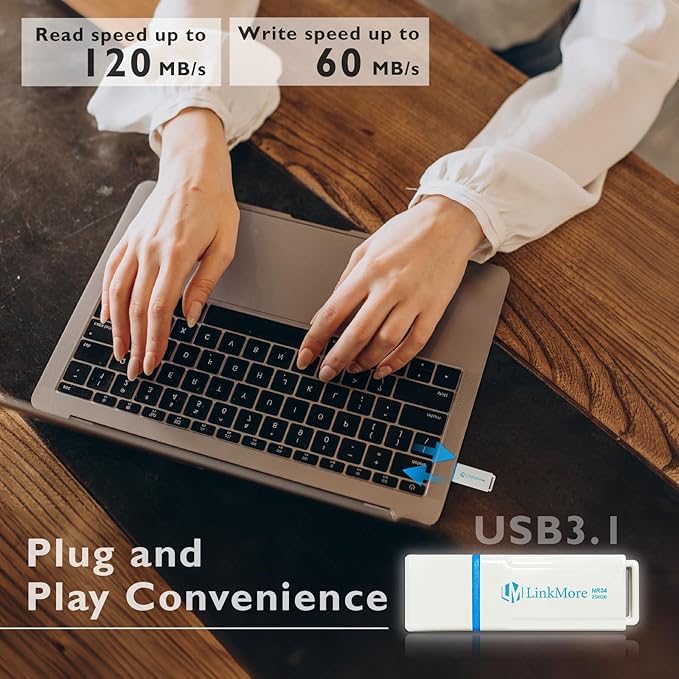 LinkMore NR34 256GB USB3.2/USB3.1 Flash Drive, Read Speed up to 120MB/s, Write Speed up to 60MB/s, USB Thumb Drive