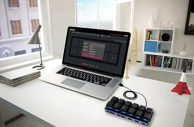 BTXETUEL 12 Key Mechanical Gaming Keyboard One Handed Keypad USB-C Wired OSU Keypad Programmable and Hot Swappable Keyboard.