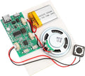 Programmable Sound Recorder Module - DIY Music Voice Recording Module Chip with Speaker, Can Recording 16 Minutes Sound Music for Personalized Greetings, Holiday Crafts Cards