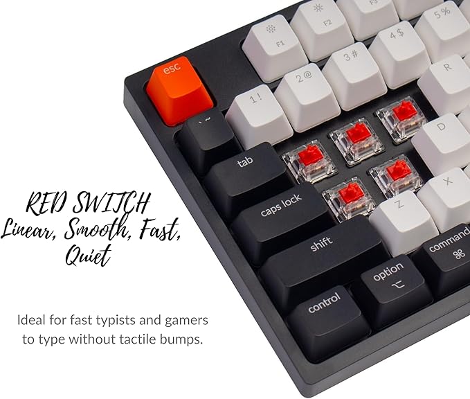 Keychron C1 Wired TKL Mechanical Keyboard, RGB Backlit, Double-Shot ABS Keycaps, Hot-Swappable Pre-lubed Linear Switch Compatible with Mac & Windows