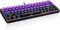 Mechanical Gaming Keyboard 65% Wired, Magnetic Switch Hot Swappable RGB Backlit, 68-Key Compact Mini Keyboard with Blue Switch, Detachable USB-C Cable for PC Mac Gamer