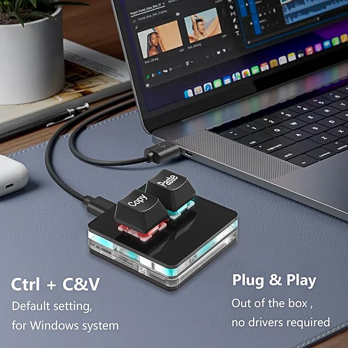SinLoon USB Mini 2 Key Keypad 2-Key Copy Paste Keyboard OSU Keypad HotSwap One Handed Mechanical Gaming Keyboard with USB Cable for Accounting Working or Rhythm Games