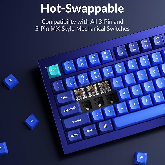 Keychron Q1 RGB Wired Custom Mechanical Keyboard, 75% Layout RGB Backlight with Hot-swappable Gateron G Pro Brown Switch Double Gasket Compatible with Mac Windows Linux (Blue) -Version 2