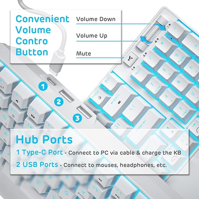 RK ROYAL KLUDGE RK96 90% 96 Keys BT5.0/2.4G/USB-C Hot Swappable Mechanical Keyboard, Wireless Mechanical Keyboard with Magnetic Wrist Rest, Blue Backlight (Blue Switch)