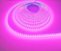 SUYOOULIN LED Strip Lights, SMD 2835 LED Strip, DC12V 1200LEDs 16.4Ft 26000LM High Density LED Light Strips Non-Waterproof IP21, 3 Times Brightness Than SMD3528 LED Strip, Pink