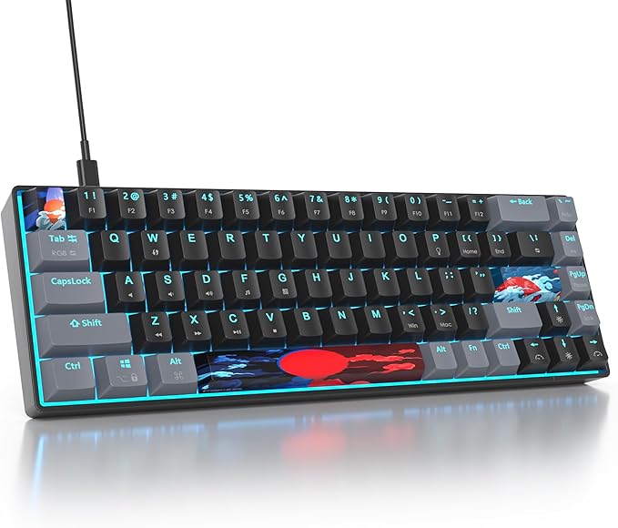 Owpkeenthy Portable 65% Percent Mechanical Gaming Keyboard, Mini Wired Ultra Compact RGB 68 Keys Office Keyboard with Red Switch Backlit for PC/PS5/XBOX(Dark/ 68 Red Switch)