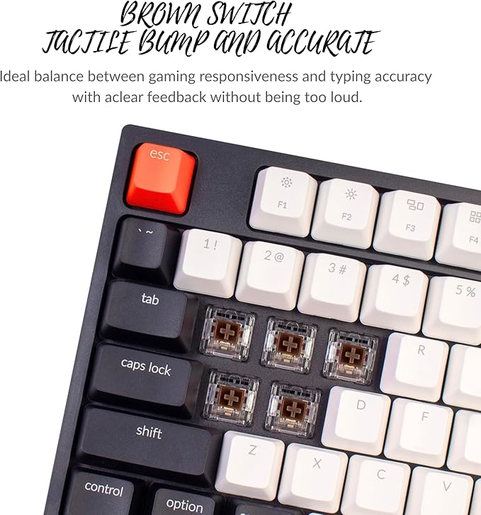 Keychron C1 Wired Mechanical Keyboard TKL, RGB Backlit with Double-Shot ABS Keycaps, 87 Keys Hot-Swappable Pre-lubed Tactile Switch Compatible with Mac Windows