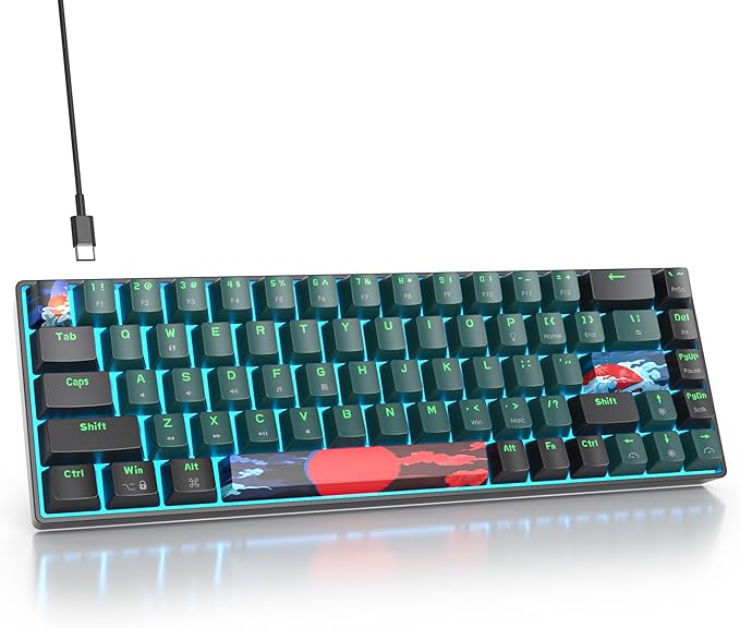 Protable 60% Percent Gaming Keyboard Mechanical, Mini Compact Ice-Blue LED Backlit 68 Keys Wired Office Keyboard with Red Switch for Mac/Win/PS4/PS5(68Green/red Switch)