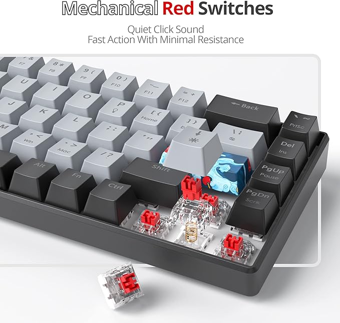 Protable 60% Percent Gaming Keyboard Mechanical, Mini Compact RGB Backlit 68 Keys Wired Office Keyboard with Red Switch for Mac/Win (Dolch/red Switch 68)