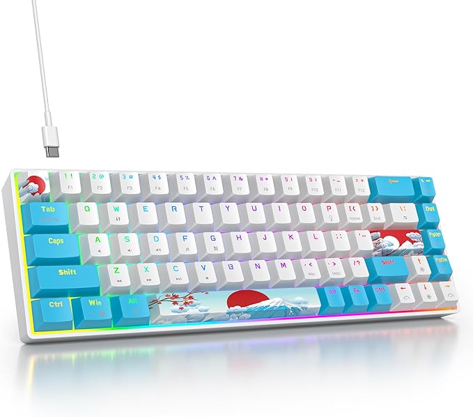 65 Percent Mechanical Gaming Keyboard 65% Portable Keyboard 68 Keys Compact Wired Keyboard RGB Backlit for PC Laptop Gamer(68 Sea/Blue Switch)