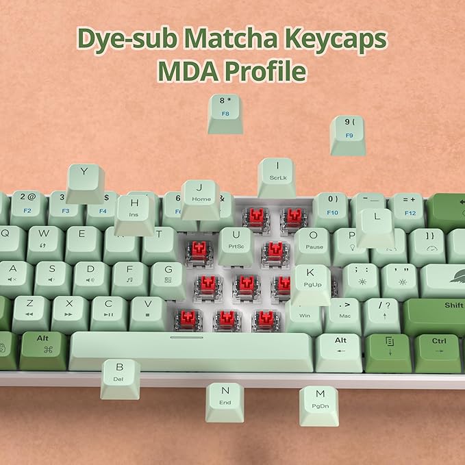 60 Percent Gaming Keyboard Green Matcha Keyboard 61 Keys Wired Mechanical Keyboard Red Switch RGB MDA Keycaps for Windows PC Laptop Gamers(61 Matcha)