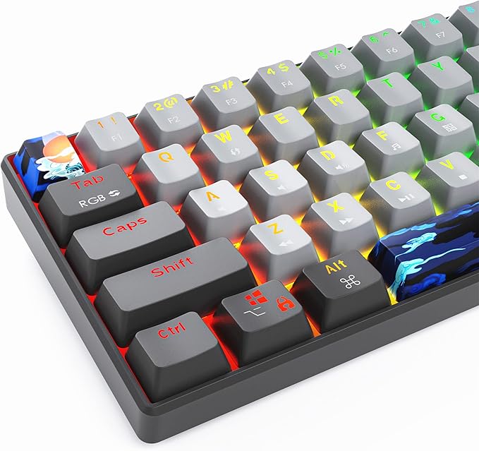 Protable 60% Percent Gaming Keyboard Mechanical, Mini Compact RGB Backlit 61 Keys Wired Office Keyboard with Red Switch for Mac/Win (Dolch/red Switch)
