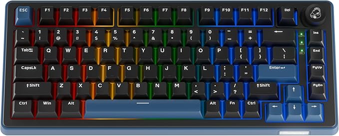 Ducky OK-M - 75% Wireless Mechanical Gaming Keyboard : Gasket-Mount Design, Hot-Swappable Switches, Five-Layer Acoustic Dampening, RGB, USB-C, 2.4Ghz, Bluetooth, Baby Switch