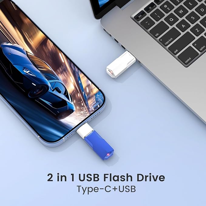 2GB Flash Drives 10 Pack Wooolken USB 2.0 Thumb Drives with 5 Pack USB C Adapters and Lanyards,Memory Sticks for Data Storage