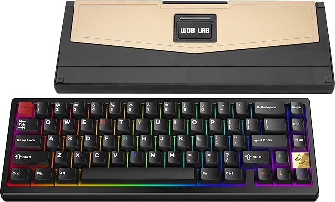 KEEBMONKEY WOBKEY Zen 65 65% Quick Release Wireless Mechanical Keyboard with RGB, CNC Aluminum Case, Hot-Swappable, VIA Support, BT/2.4G/USB-C Gaming Keyboard for Mac/Windows (Ultra Black)