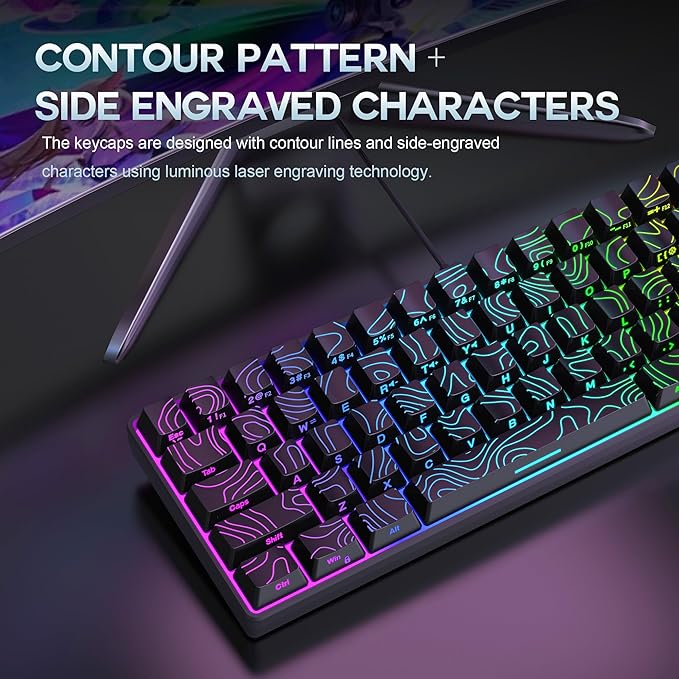 Snpurdiri 65% Wired Gaming Keyboard, 68 Keys RGB Backlit Ultra-Compact Small Gaming Keyboard, for PC/Mac Gamer, Typist, Travel, Easy to Carry on Business Trip Black