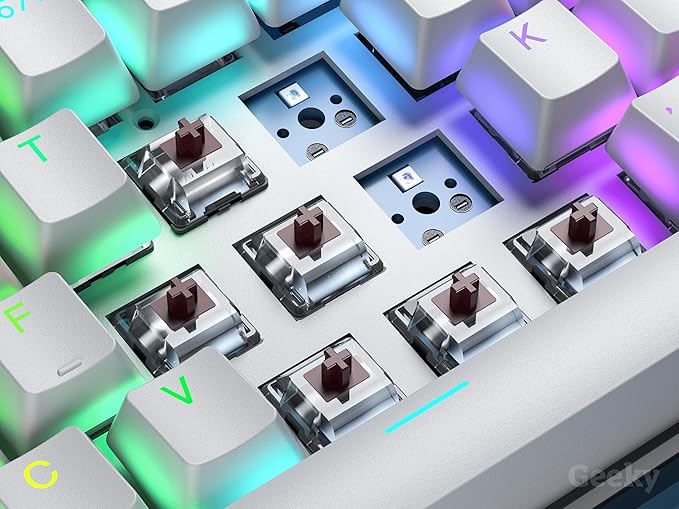 Geeky GK61 60% | Hot Swappable Mechanical Gaming Keyboard | 61 Keys Multi Color RGB LED Backlit for PC/Mac Gamer | ANSI US American Layout (Lavender, Mechanical Brown)