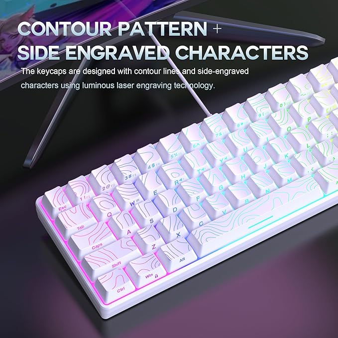 Snpurdiri 65% Wired Gaming Keyboard, 68 Keys RGB Backlit Ultra-Compact Small Gaming Keyboard, for PC/Mac Gamer, Typist, Travel, Easy to Carry on Business Trip White