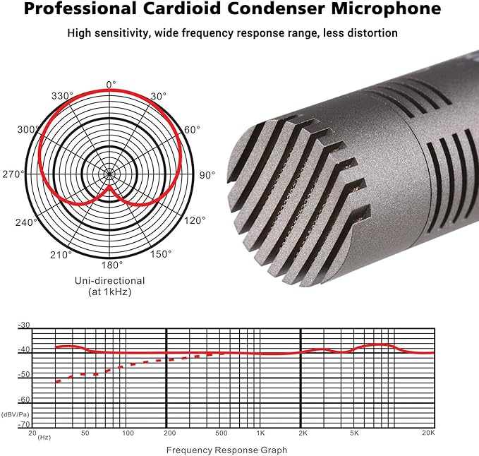 TAKSTAR Condenser Microphone with Windscreen, Professional Cardioid Mic, XLR Gold-Plated Diaphragm Recording Microphone for Singing, Studio, Instrument, Interview, Radio Stations, Broadcast - CM-60