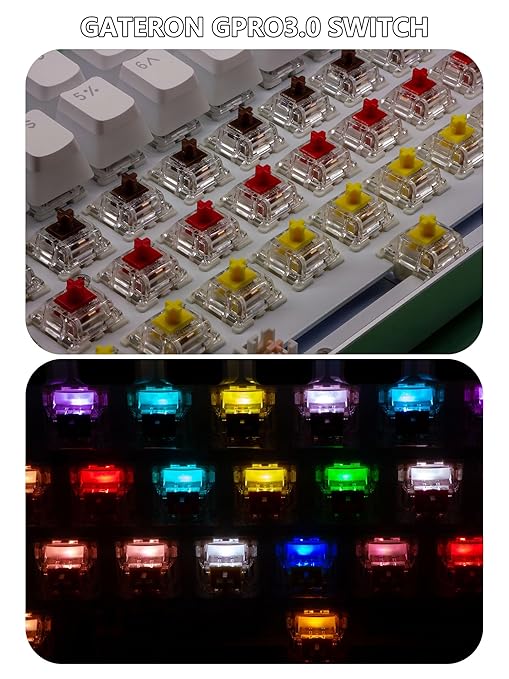 Gateron 70Pcs Pre lubed G pro V3.0 MX Mechanical Gaming Keyboard Split Tactile 55gf Switches,POM Stem Linear RGB SMD Switches 3 pin (Brown)