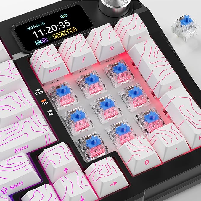 Zhouwang 108PCS Blue Clicky Mechanical Keyboard Switches,3-Pin Hot-Swappable Pre-Lubricated Switches with 3 Kailh Switches,Crisp Click Sound,for Gaming Keyboards & 3D Print Accessories