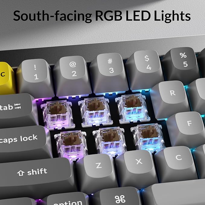 Keychron Q4 Wired Custom Mechanical Keyboard, 60% Layout QMK/VIA Programmable Macro with Hot-swappable Gateron G Pro Brown Switch Double Gasket Compatible with Mac Windows Linux - Grey