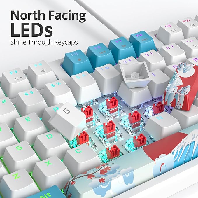 75% Mechanical Gaming Keyboard with Red Switch, RGB LED Backlit Keyboard White and Blue, 87 Keys Compact TKL Wired Computer Keyboard for Windows Laptop PC Gamer (87 Sea)