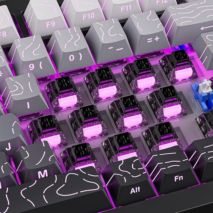 Clicky Keyboard Switches - Kailh Box Ink Switch| Waterproof, Dustproof for Mechanical Gaming Keyboards(72 Pcs)