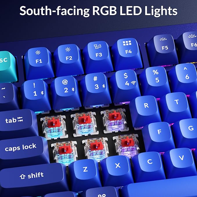 Keychron Q1 RGB Wired Custom Mechanical Keyboard, 75% Layout RGB Backlight with Hot-swappable Gateron G Pro Red Switch Double Gasket Compatible with Mac Windows Linux (Blue) -Version 2