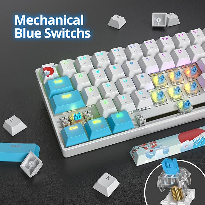 65 Percent Mechanical Gaming Keyboard 65% Portable Keyboard 68 Keys Compact Wired Keyboard RGB Backlit for PC Laptop Gamer(68 Sea/Blue Switch)