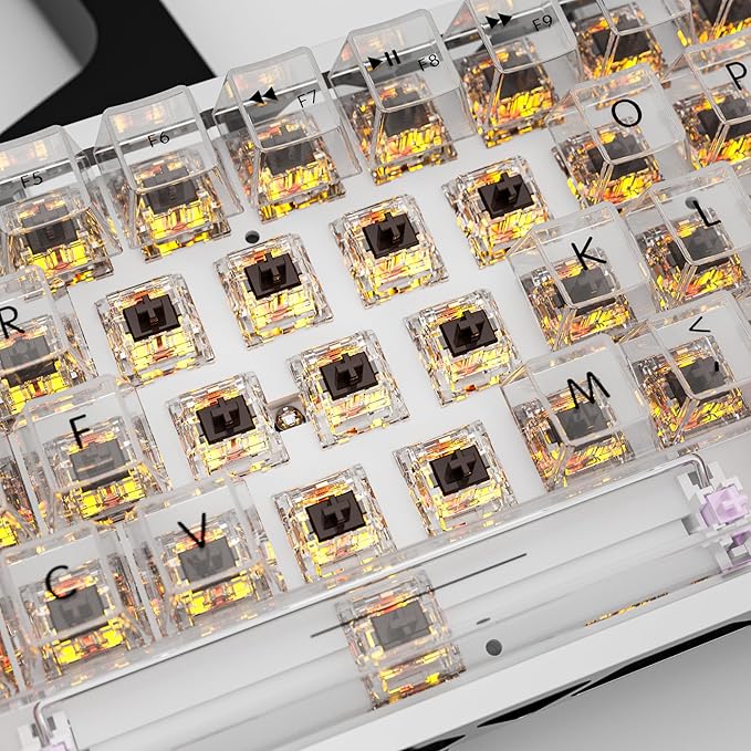 Zhouwang Crystal Brown Switch Mechanical Keyboard Replacement,3 Pin Tactile/Accurate Typing/Dustproof/RGB Transparent Gaming Keyboard Switches(72Pcs)